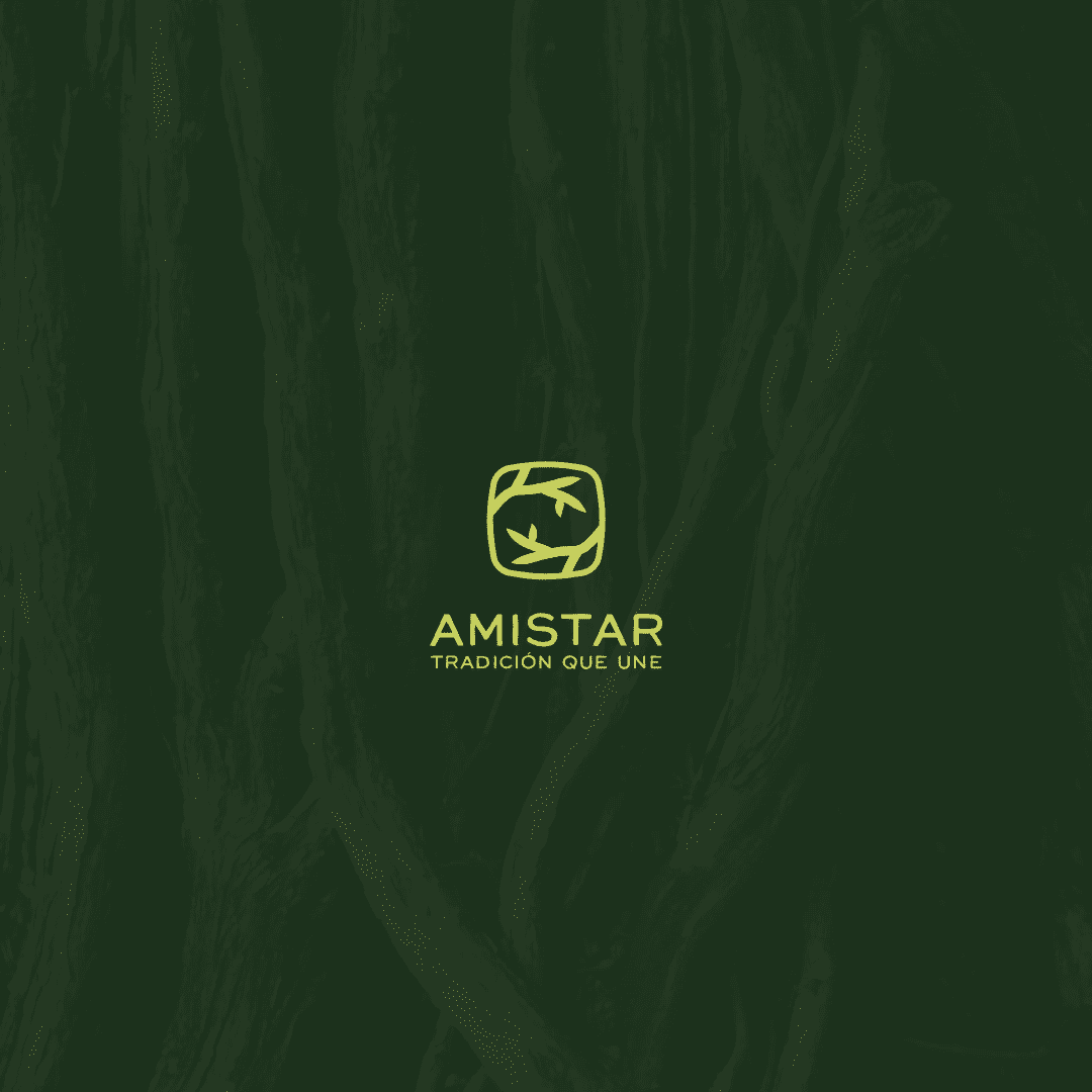AMISTAR-MOCKUP3