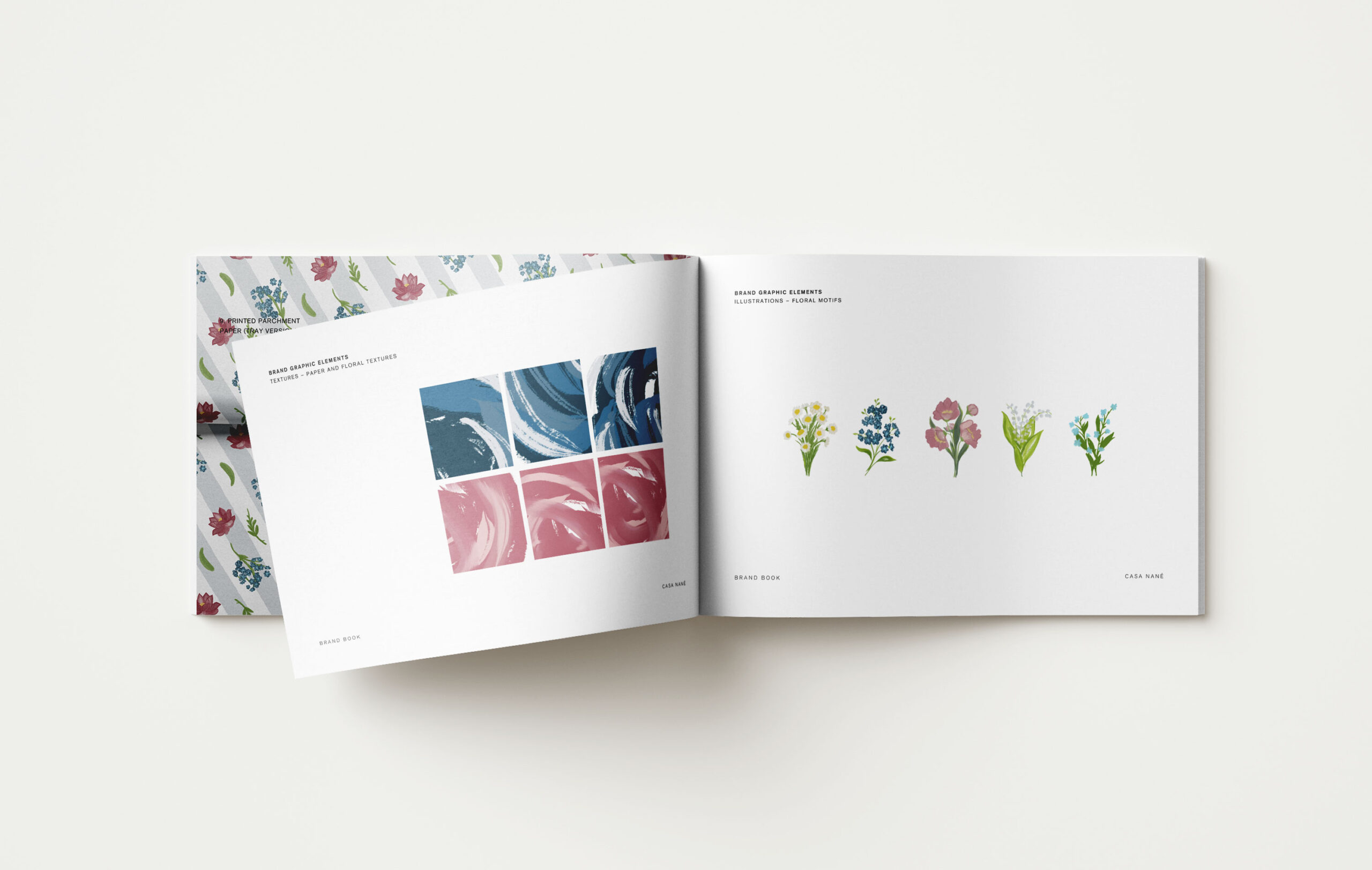 brandbook-CasaNane